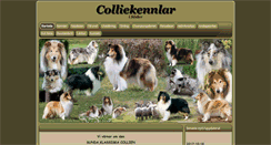 Desktop Screenshot of colliekennlar.se