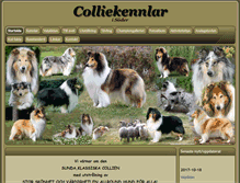Tablet Screenshot of colliekennlar.se